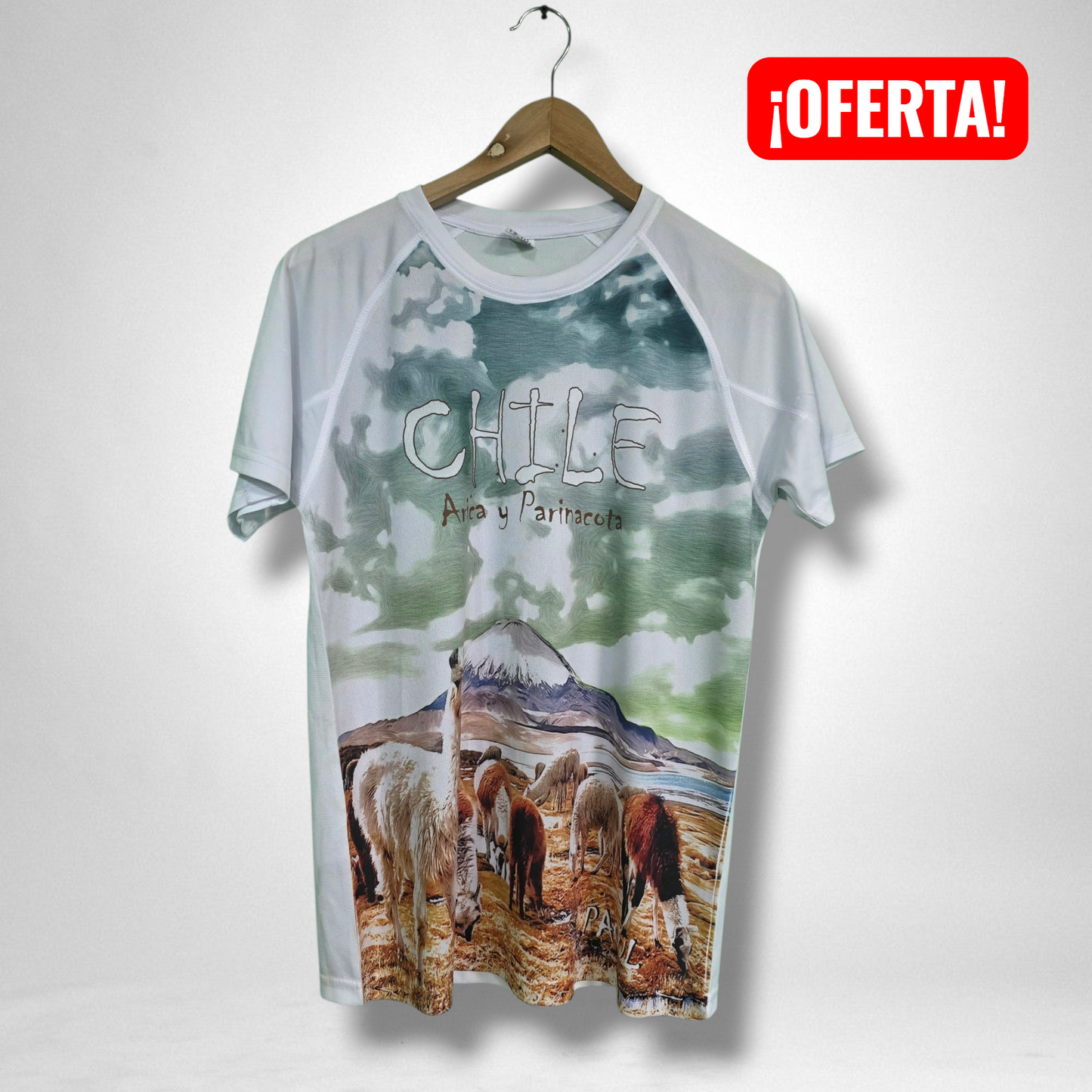 Polera Hombre Chile Arica y Parinacota | Talla S