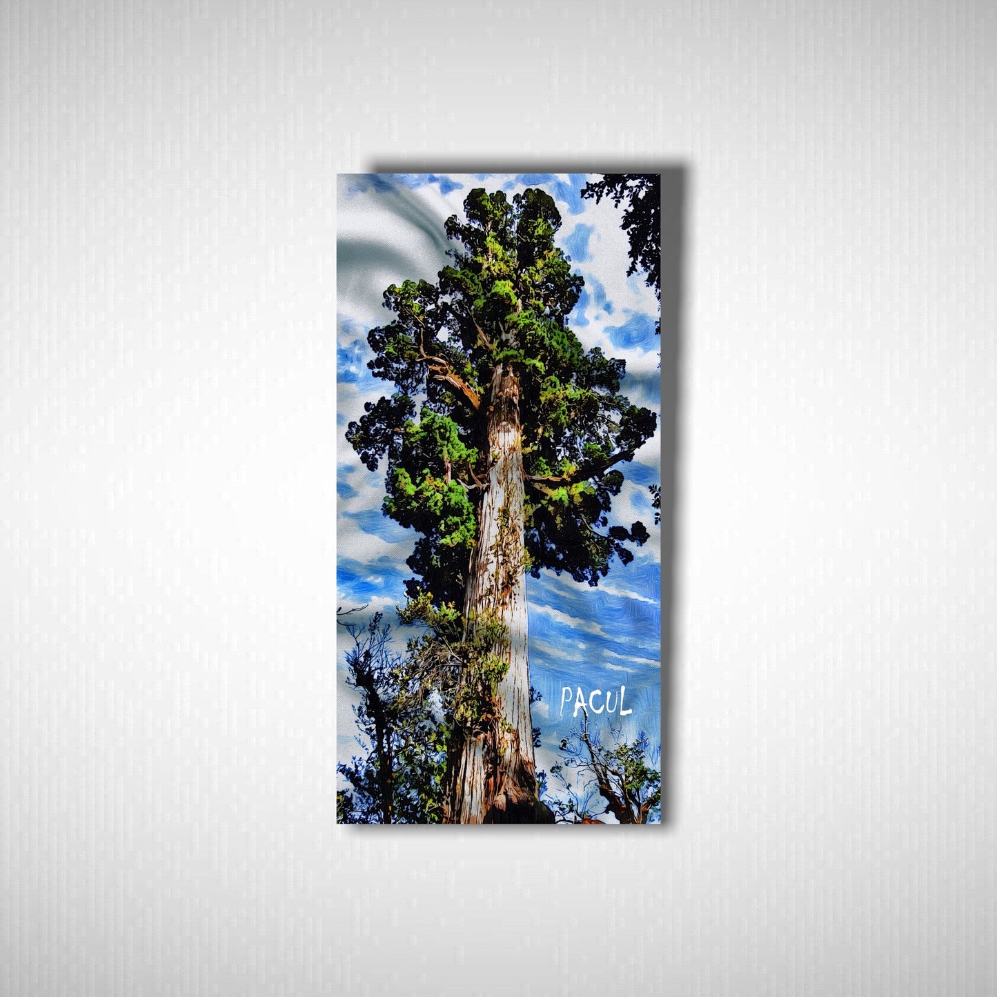 Bandana Parque nacional Alerce Costero