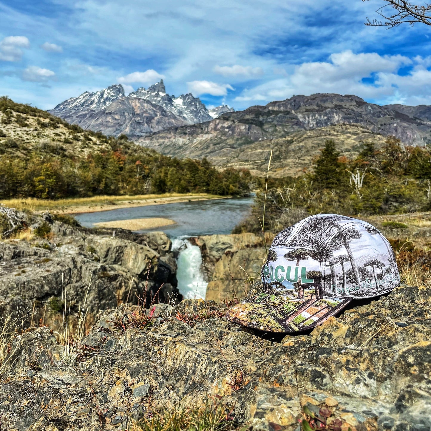 Gorro 5 Panel Parque Nacional Conguillío