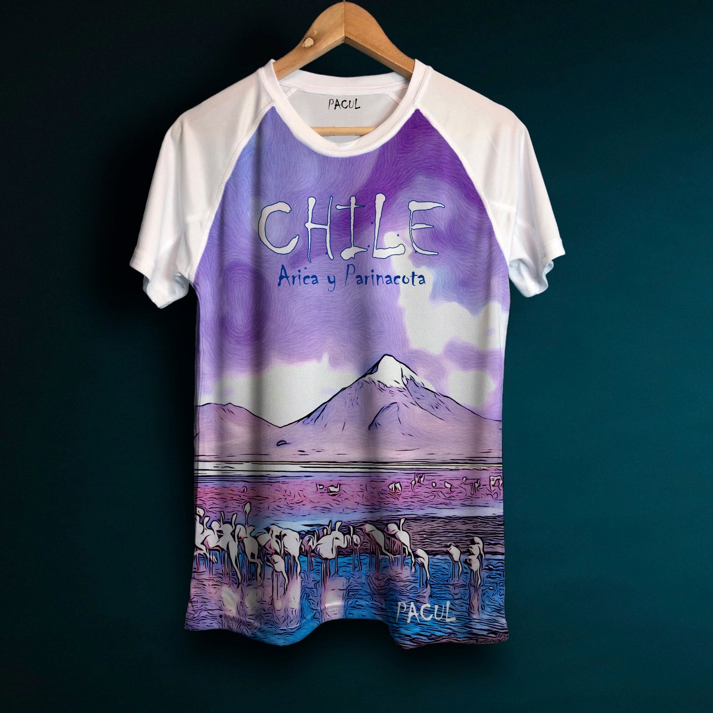 Polera Pacul Hombre Arica y Parinacota 2