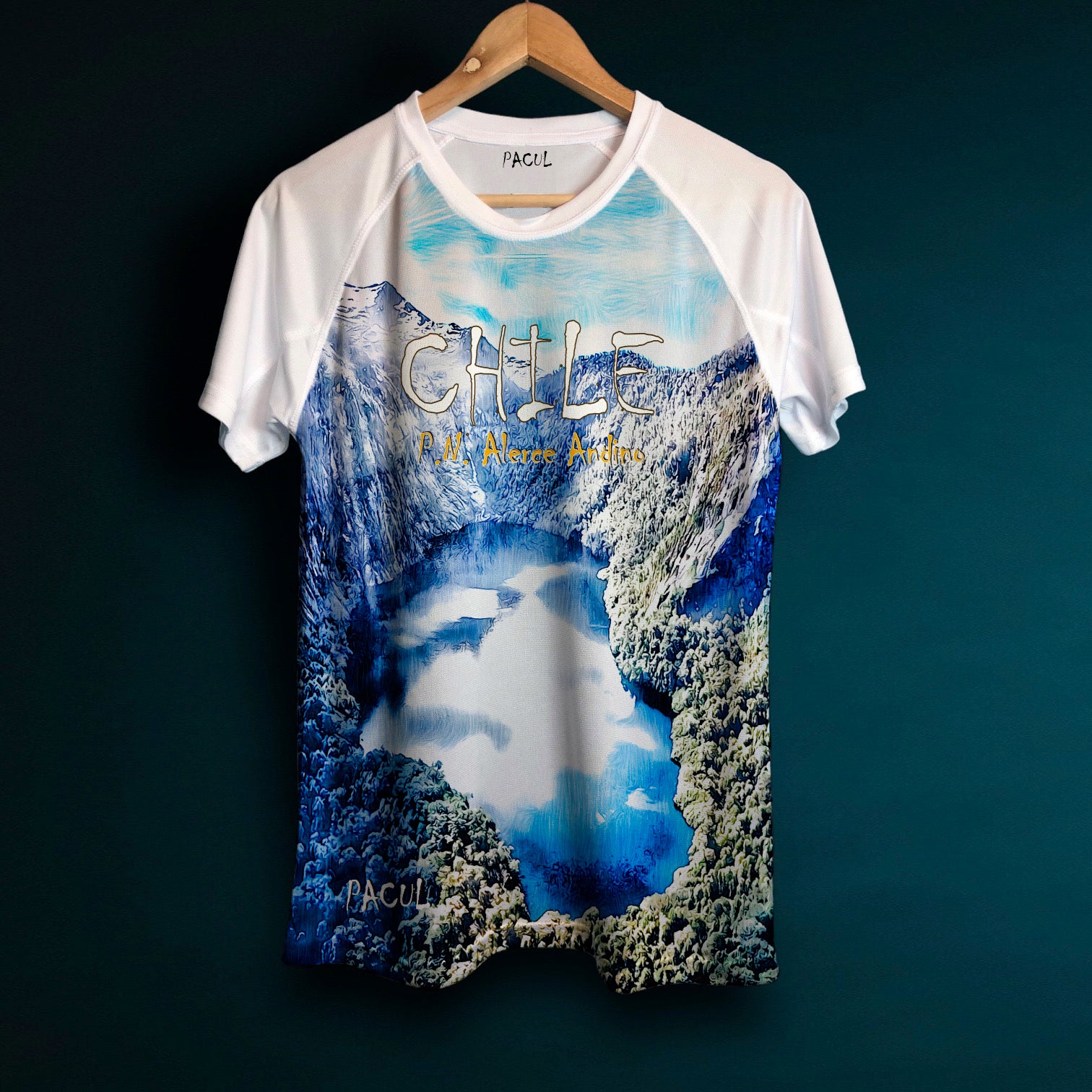 Polera Pacul Hombre Parque Nacional Alerce Andino – PACUL OUTDOORS