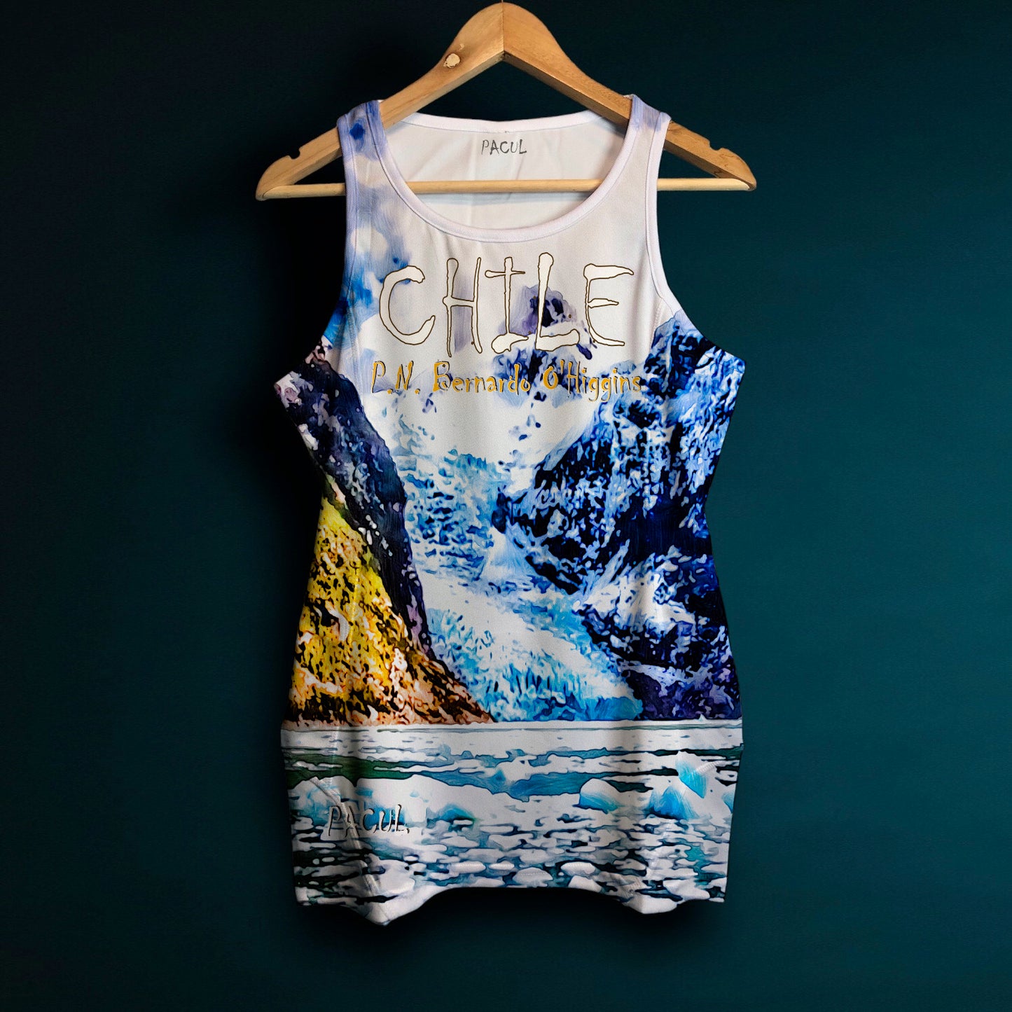 Polera Pacul Hombre Parque Nacional Bernardo O'Higgins
