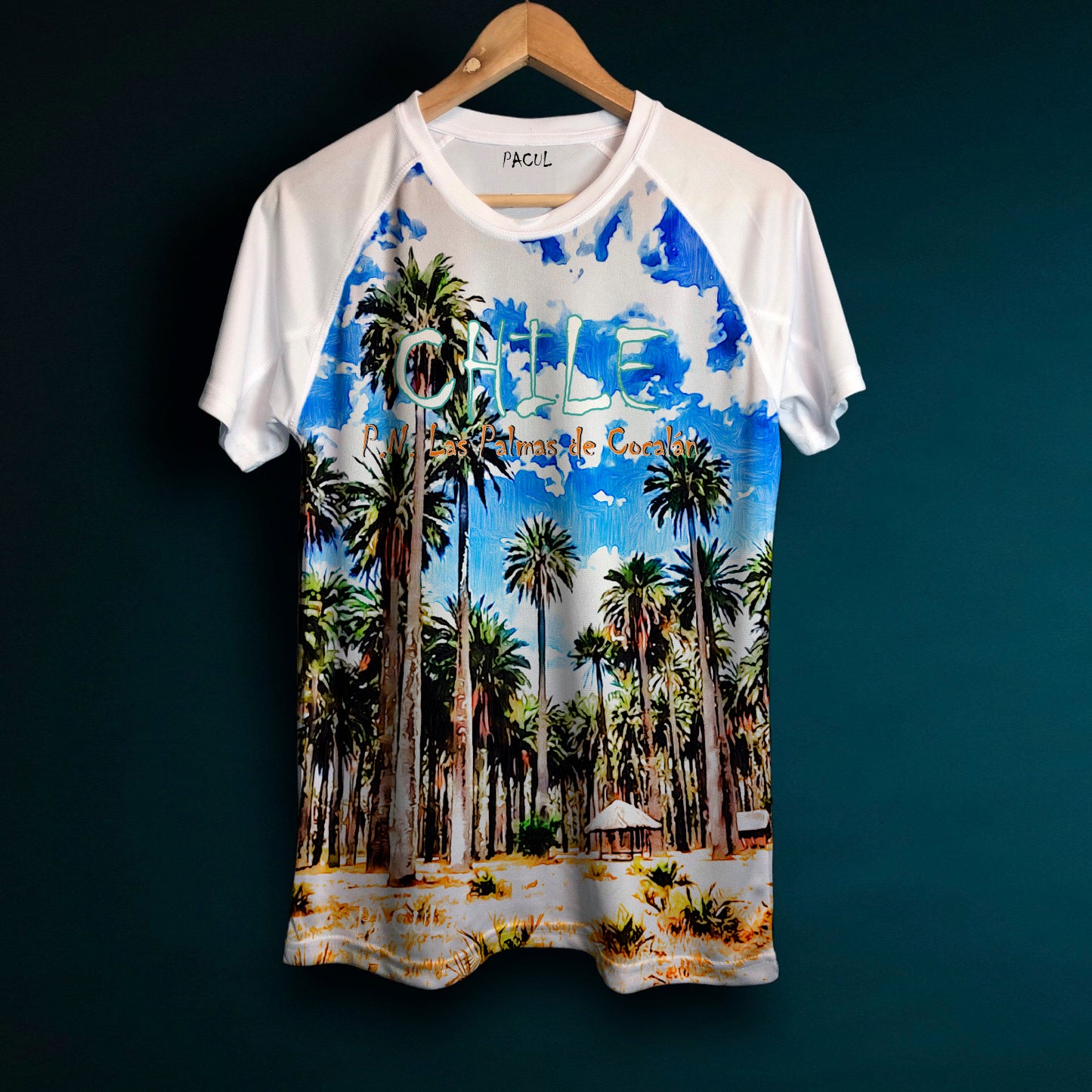 Polera Pacul Hombre Parque Nacional Las Palmas de Cocalán