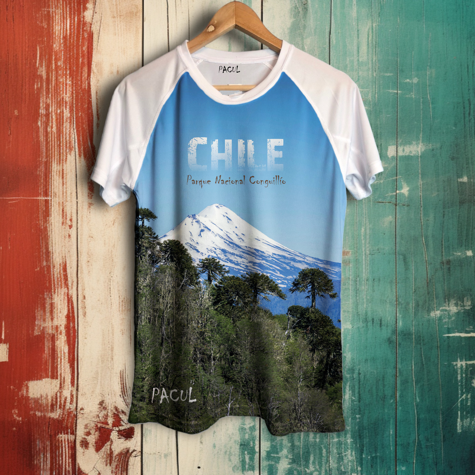Polera Pacul Hombre Parque Nacional Conguillío 2 – PACUL OUTDOORS