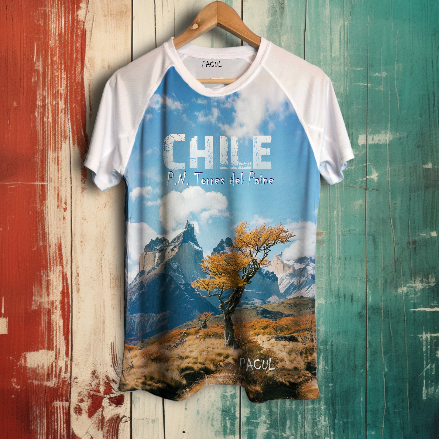 Polera Pacul Hombre Parque Nacional Torres del Paine 3