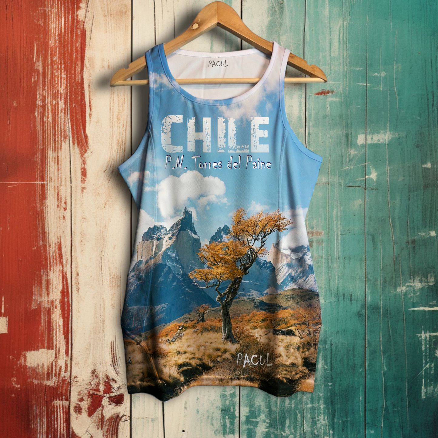 Polera Pacul Hombre Parque Nacional Torres del Paine 3